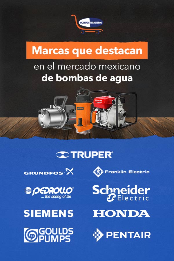 Infografía de marcas que destacan en el mercado mexicano de bombas de agua